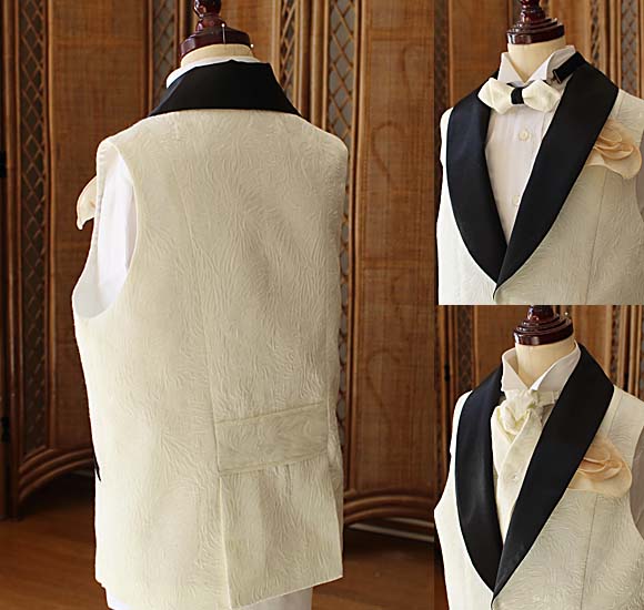 バックスタイル ジャケットベスト デザインタイ 蝶タイ チーフ