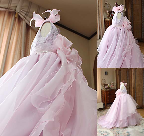 ドレス姿 豪華デザイン